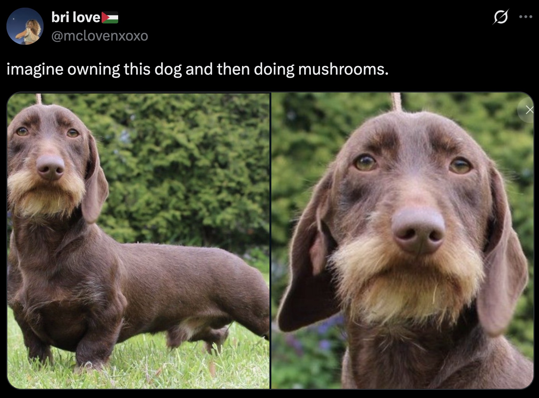 An elderly spirit guide